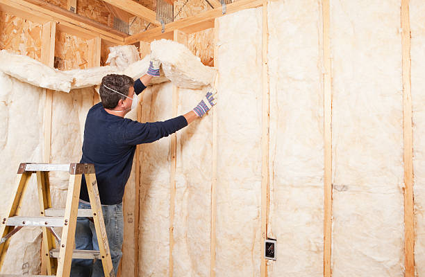 Best Radiant Barrier Insulation  in Augusta, AR