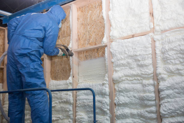 Best Soundproof Insulation  in Augusta, AR